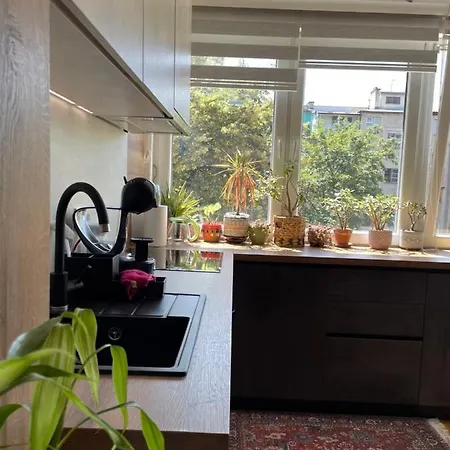 Wild Apartmán Sarajevo