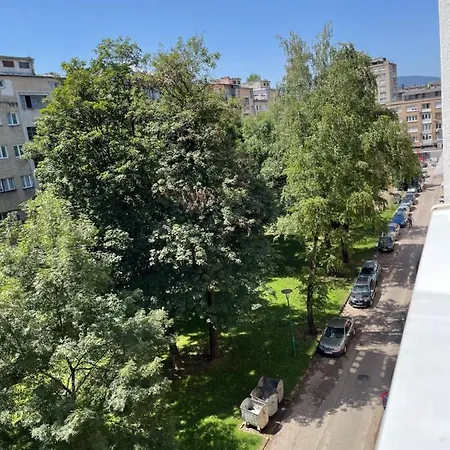 Wild Sarajevo